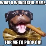 who flung poo | WHAT A WONDERFUL MEME, FOR ME TO POOP ON! | image tagged in triumph the insult comic dog | made w/ Imgflip meme maker