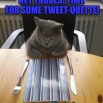 Hungry Cat Etiquette | HEY TROOLS! TIME FOR SOME TWEET-QUETTE! artconnects@ibrushnroll | image tagged in hungry cat etiquette | made w/ Imgflip meme maker