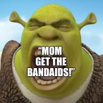 Shouting Shrek | TEEN GIRLS WHEN THEY GET A MINOR PAPER CUT; “MOM GET THE BANDAIDS!” | image tagged in shouting shrek | made w/ Imgflip meme maker