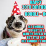 Annie's Song | HAPPY 20TH BIRTHDAY; DOODLE ~ DOT; OLD ENOUGH TO FIGHT IN A WAR OR CREATE LIFE BUT STILL NOT OLD ENOUGH TO DRINK | image tagged in happy birthday derek,happy birthday,i love you this much,i love you,baby girl,memes | made w/ Imgflip meme maker