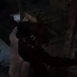 DbD Hitboxes meme