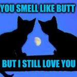 When you smell like butt | YOU SMELL LIKE BUTT; BUT I STILL LOVE YOU | image tagged in kitties and the moon,i love you,love,butt | made w/ Imgflip meme maker