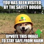 Safety doggo | YOU HAS BEEN VISITED BY THE SAFETY DOGGO; UPVOTE THIS IMAGE TO STAY SAFE FROM HARM | image tagged in safety doggo | made w/ Imgflip meme maker