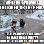 Bear Motivational | WHETHER YOU ARE THE BIKER, OR THE BEAR... THERE IS ALWAYS A REASON TO REACH DOWN AND TRY HARDER.  THERE ARE NO FREE LUNCHES. | image tagged in bear motivational | made w/ Imgflip meme maker