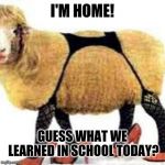 sexy sheep | I'M HOME! GUESS WHAT WE LEARNED IN SCHOOL TODAY? | image tagged in sexy sheep | made w/ Imgflip meme maker