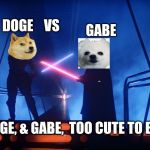 Darth and Luke Star Wars lightsaber battle Bespin | GABE; DOGE    VS; R.I.P DOGE, & GABE,  TOO CUTE TO BATTLE! | image tagged in darth and luke star wars lightsaber battle bespin | made w/ Imgflip meme maker