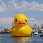 GiantDuck