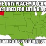idaho | THE ONLY PLACE YOU CAN’T GET LECTURED FOR EATING A POTATO; WITHOUT TAKING IT OUT OF THE GROUND FIRST | image tagged in idaho | made w/ Imgflip meme maker