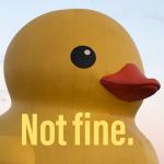 "Not fine."- Duck meme