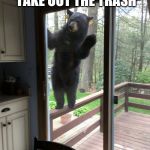 bear window | DON'T FORGET TO TAKE OUT THE TRASH | image tagged in bear window | made w/ Imgflip meme maker