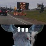 high there | i didn't know they meant literally | image tagged in high there,memes,reindeer | made w/ Imgflip meme maker