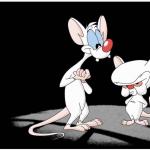 Pinky & the Brain