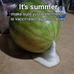 Foaming watermelon | make sure you watermelon is vaccinated against rabies; It's summer | image tagged in foaming watermelon,vegetables,humor | made w/ Imgflip meme maker