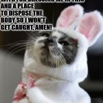 CAT PRAYER | DEAR GOD, PLEASE PROVIDE ME AN ASSAULT RIFFLE TO MURDER MY HUMAN WITH FOR DRESSING ME IN THIS; AND A PLACE TO DISPOSE THE BODY SO I WON'T GET CAUGHT, AMEN! | image tagged in cat prayer | made w/ Imgflip meme maker