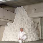 mountain of toilet paper meme