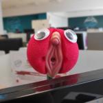 Bocachocho Chuminola