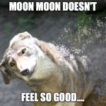 Moon don't feel so good | MOON MOON DOESN'T; FEEL SO GOOD.... | image tagged in moon don't feel so good | made w/ Imgflip meme maker