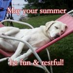 Dog Days of Summer | May your summer; be fun & restful! | image tagged in dog days of summer | made w/ Imgflip meme maker
