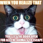 Surprised cat lol | WHEN YOU REALIZE THAT; YOU LEFT THE DOOR OPEN FOR ALL THE ANIMALS TO ESCAPE | image tagged in surprised cat lol | made w/ Imgflip meme maker