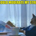 I Should Buy A Boat Cat Meme | I SHOULD MODERATE MY STREAM | image tagged in memes,i should buy a boat cat | made w/ Imgflip meme maker
