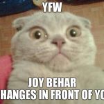 Gaaaaaaaahhhhhh!!!!! | YFW; JOY BEHAR CHANGES IN FRONT OF YOU | image tagged in stunned cat,joy behar,horrible | made w/ Imgflip meme maker