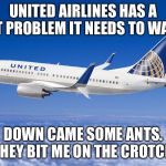 United Airlines needs an itsy-bitsy spider to handle the ants | UNITED AIRLINES HAS A PEST PROBLEM IT NEEDS TO WATCH. DOWN CAME SOME ANTS. THEY BIT ME ON THE CROTCH. | image tagged in united airlines,memes,spider,ants,bugs,words | made w/ Imgflip meme maker