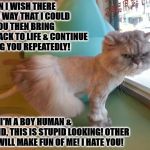 ANGRY TU TU CAT | HUMAN I WISH THERE WAS A WAY THAT I COULD KILL YOU THEN BRING YOU BACK TO LIFE & CONTINUE KILLING YOU REPEATEDLY! FIRST, I'M A BOY HUMAN & SECOND, THIS IS STUPID LOOKING! OTHER CATS WILL MAKE FUN OF ME! I HATE YOU! | image tagged in angry tu tu cat | made w/ Imgflip meme maker