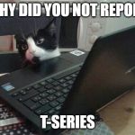 Disappointed Tech Support Cat | WHY DID YOU NOT REPORT; T-SERIES | image tagged in disappointed tech support cat,t-series,t series,pewdiepie,youtuber | made w/ Imgflip meme maker