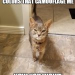 New Grumpy Cat | NOT A SMART MOVE, DECKING YOUR HOUSE OUT IN COLORS THAT CAMOUFLAGE ME; NOW YOU WON'T SEE ME COMING | image tagged in new grumpy cat,cats,grumpy cat,cat,grumpy,memes | made w/ Imgflip meme maker
