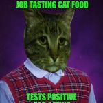 Introducing "Bad Luck Kitty" for your memeing pleasure. | GETS A SWEET JOB TASTING CAT FOOD; TESTS POSITIVE FOR CATNIP | image tagged in bad luck kitty,memes,bad luck brian,funny,catnip,depressed cat | made w/ Imgflip meme maker