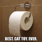 Toilet Paper | BEST. CAT TOY. EVER. | image tagged in toilet paper | made w/ Imgflip meme maker