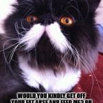 BRITISH CAT | PARDON ME SIR; WOULD YOU KINDLY GET OFF YOUR FAT ARSE AND FEED ME? OH AND BY THE WAY... THAT TIE MAKES YOU LOOK LIKE A PRANCING POOF! | image tagged in british cat | made w/ Imgflip meme maker