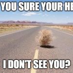 tumbleweed | ARE YOU SURE YOUR HERE? I DON'T SEE YOU? | image tagged in tumbleweed | made w/ Imgflip meme maker