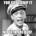 Barney Fife | YOU GOT TO NIP IT; NIP IT IN THE BUD! | image tagged in barney fife | made w/ Imgflip meme maker