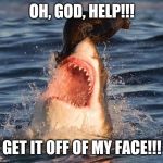 Travelonshark | OH, GOD, HELP!!! GET IT OFF OF MY FACE!!! | image tagged in memes,travelonshark | made w/ Imgflip meme maker