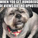 confused dog | WHEN YOU GET HUNDREDS OF VIEWS BUT NO UPVOTES | image tagged in confused dog | made w/ Imgflip meme maker