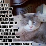 DISRESPECTFUL TURD | HUMAN I CAN SEE THE BOTTOM OF MY FOOD BOWL IN ONE SPOT & MY WATER HAS ONE OF MY HAIRS IN IT! GO FRESHEN MY WATER & PUT A FEW MORE NIBBLES OF FOOD IN MY BOWL SO I CAN'T SEE THE BOTTOM! GET TO WORK SLAVE! | image tagged in disrespectful turd | made w/ Imgflip meme maker