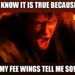 right in the feels | I KNOW IT IS TRUE BECAUSE; MY FEE WINGS TELL ME SO! | image tagged in anakin angry triggered | made w/ Imgflip meme maker