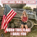 Flag | COME AND TAKE THIS GUN! BURN THIS FLAG!
I DARE YOU | image tagged in flag | made w/ Imgflip meme maker