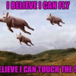 Pigs Fly | I BELIEVE I CAN FLY; I BELIEVE I CAN TOUCH THE SKY | image tagged in pigs fly | made w/ Imgflip meme maker