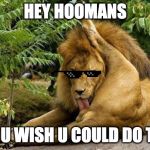 lion licking balls | HEY HOOMANS; BET U WISH U COULD DO THIS | image tagged in lion licking balls | made w/ Imgflip meme maker
