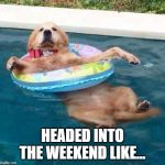 Cool Dog | HEADED INTO THE WEEKEND LIKE... | image tagged in cool dog | made w/ Imgflip meme maker