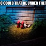 Wicked witch under Dorothy's house | WHO COULD THAT BE UNDER THERE ? | image tagged in wicked witch under dorothy's house | made w/ Imgflip meme maker