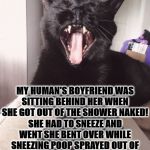 JERK | MY HUMAN'S BOYFRIEND WAS SITTING BEHIND HER WHEN SHE GOT OUT OF THE SHOWER NAKED! SHE HAD TO SNEEZE AND WENT SHE BENT OVER WHILE SNEEZING POOP SPRAYED OUT OF HER BUTT ONTO HER BOYFRIEND'S FACE & THEN HE PUKED ON HER BUTT! | image tagged in jerk | made w/ Imgflip meme maker