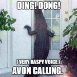 alligator in ya circle | DING! DONG! ( VERY RASPY VOICE ); AVON CALLING. | image tagged in alligator in ya circle | made w/ Imgflip meme maker