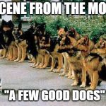 dogs and cat | A SCENE FROM THE MOVIE; "A FEW GOOD DOGS" | image tagged in dogs and cat,a few good men,movie,scene | made w/ Imgflip meme maker