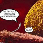 Bad Pick Up Line Sperm | GIRL, THEY SHOULD TAKE AWAY YOUR LICENSE, BECAUSE YOU'RE DRIVING ME CRAZY. BACK OF THE LINE PLEASE. | image tagged in bad pick up line sperm,meme,sperm,egg,sperm and egg | made w/ Imgflip meme maker