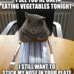 Then I'll look at you disdainfully, LOL | I SEE YOU'RE ONLY EATING VEGETABLES TONIGHT I STILL WANT TO STICK MY NOSE IN YOUR PLATE | image tagged in hungry cat,food,disdain,vegetarian,cats | made w/ Imgflip meme maker