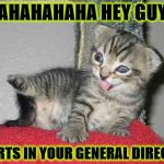 ME FARTS | HAHAHAHAHA HEY GUYS; ME FARTS IN YOUR GENERAL DIRECTION! | image tagged in me farts | made w/ Imgflip meme maker