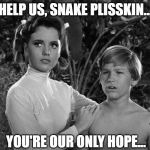 Snake's our only hope... | HELP US, SNAKE PLISSKIN... YOU'RE OUR ONLY HOPE... | image tagged in help us snake,obi-wan plisskin | made w/ Imgflip meme maker